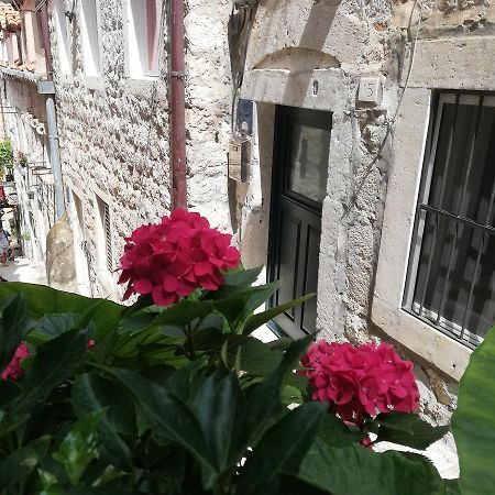 Apartment Dubrovnik Center Exteriör bild
